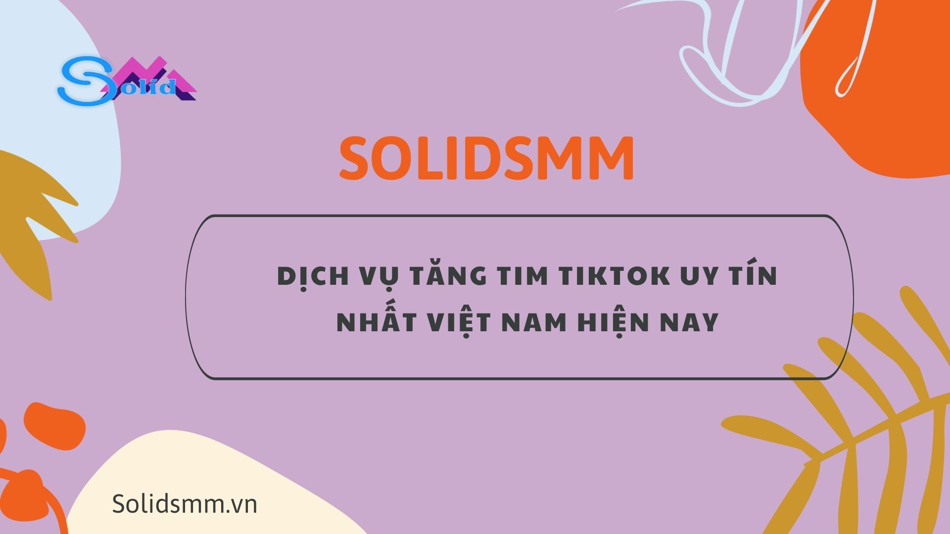 SolidSMM - Dịch vụ tăng tim Titkok uy tín nhất Việt Nam hiện nay
